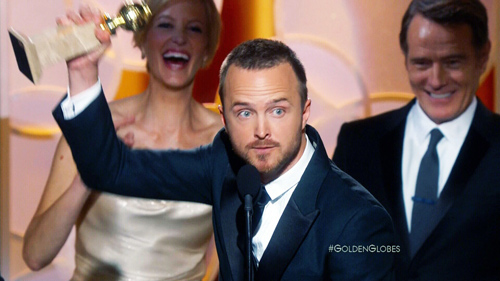 Leo DiCaprio nhận giải Nam diễn viên xuất sắc - 10