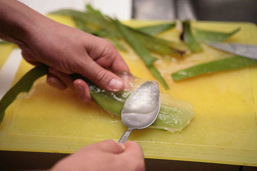 9 cách làm trắng đầu gối tuyệt vời - 7