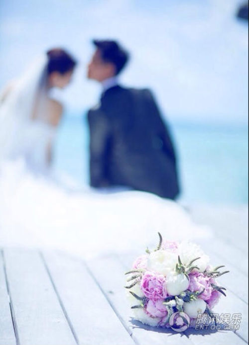 Toàn ảnh đám cưới Tiểu hoa đán Đồng Lệ Á - 12