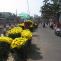 Tin tức - Hoa, trái “méo mặt” ngày 30 Tết