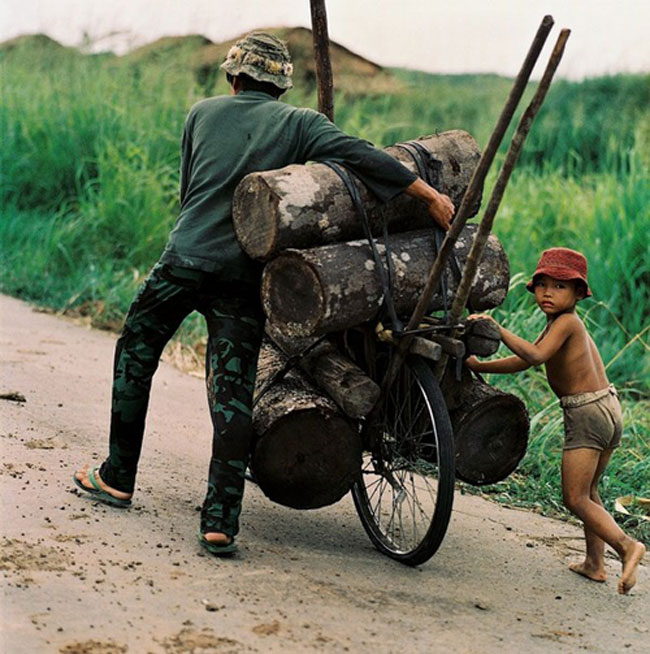 Ảnh của Thomas Billhardt được đánh giá là một trong những kho tư liệu quý giá về chiến tranh Việt Nam. Trong ảnh, em bé theo người lớn đi thồ gỗ
