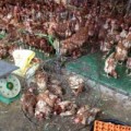 Mua sắm - Giá cả - Gà đầu trọc chết, ốm đầy chợ gia cầm Hà Vỹ