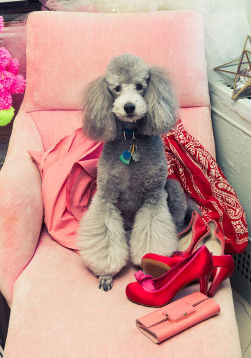 Đắm chìm trong tủ đồ lãng mạn của quý bà U70 - 16