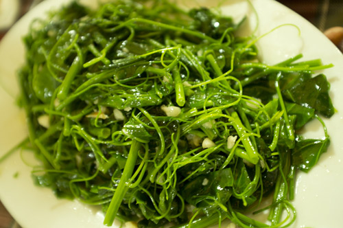 Ngọt lành rau đặc sản miền núi phía Bắc - 5