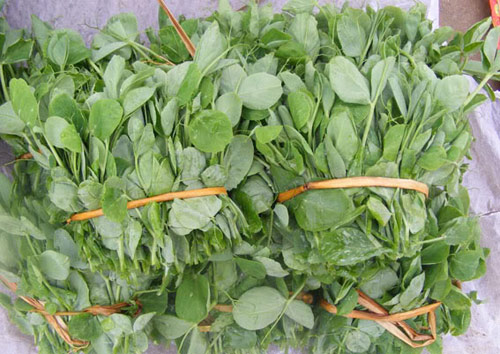 Ngọt lành rau đặc sản miền núi phía Bắc - 11