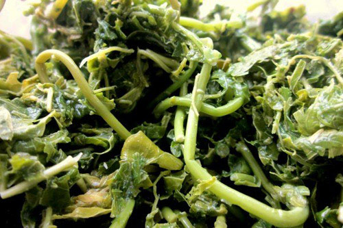 Ngọt lành rau đặc sản miền núi phía Bắc - 12