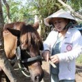 Tin tức - Những bóng hồng xinh đẹp làm kỵ sĩ bên sông Tiền