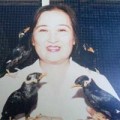 Tin tức - Nữ 'phù thủy' với tuyệt kỹ luyện chim ở Vũng Tàu