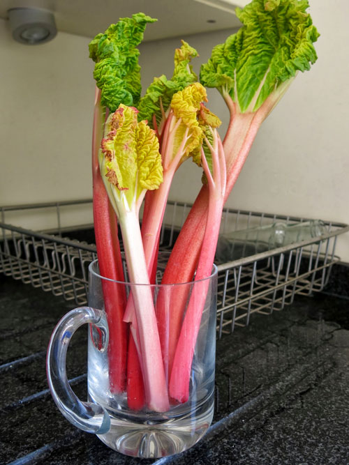 Mẹo vệ sinh nhà bếp hay ít người biết - 2