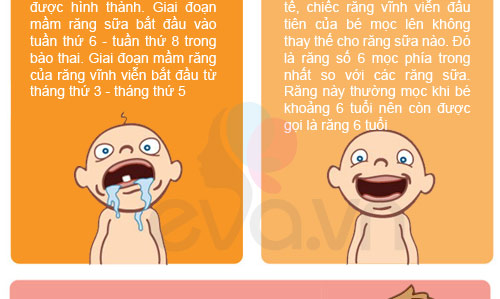 Hé lộ bí mật LỚN NHẤT về răng của trẻ - 3
