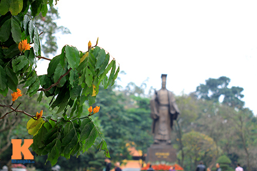 Đến Hà Nội ngắm hoa nhà Phật khoe sắc - 1