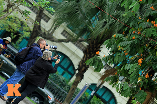 Đến Hà Nội ngắm hoa nhà Phật khoe sắc - 16