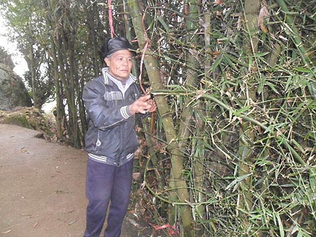 Bí ẩn đồi #039;Ông Thánh#039; ở xứ Thanh - 3