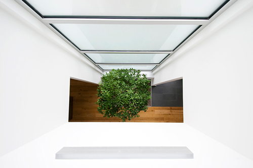 Nhà lô phố hướng Đông đẹp mỹ miều - 8