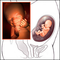 Thai nhi 19 tuần: Biểu lộ cảm xúc