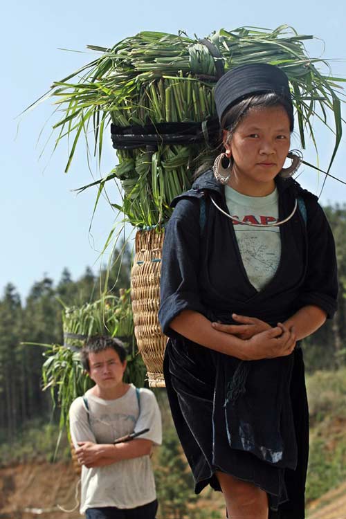 Cuộc đời nhọc nhằn của người phụ nữ vùng cao - 10