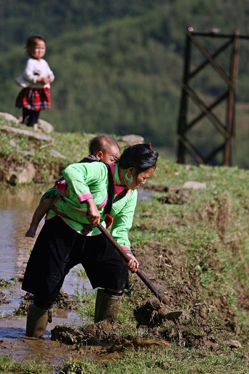 Cuộc đời nhọc nhằn của người phụ nữ vùng cao - 12