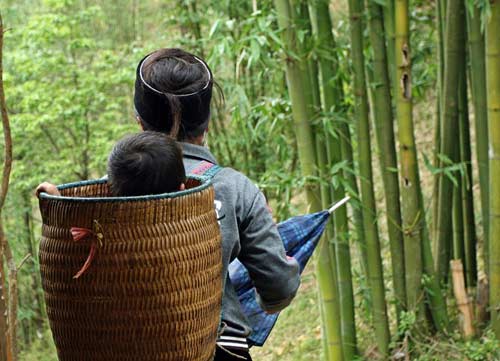 Cuộc đời nhọc nhằn của người phụ nữ vùng cao - 7