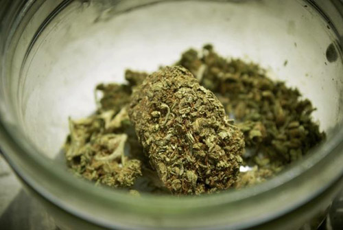 Mỹ: 3 HS tiểu học bị bắt vì hút cần sa trong trường - 2