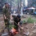 Tin tức - Sưa 20 năm tuổi bị đốn hạ trong đêm giữa Hà Nội