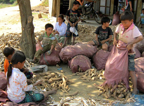 Ám ảnh ở làng... 9 - 10 con là phổ biến - 1