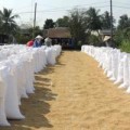 Mua sắm - Giá cả - Bộ Tài chính tăng giá lúa thu mua tạm trữ