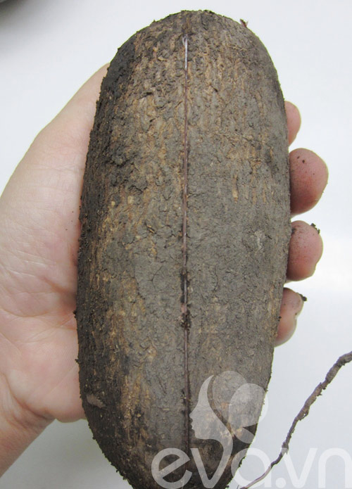 Bánh khoai mì nướng thơm lừng - 1