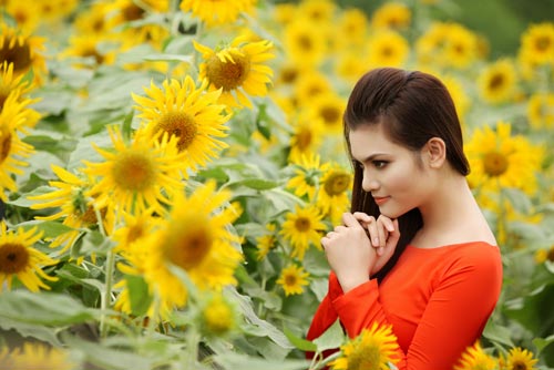Phạm Phương Thảo: quot;Tình đã khắc sâu trong lời hátquot; - 4