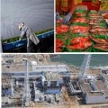Tin tức - Sự sống kỳ diệu ở Fukushima 3 năm sau động đất