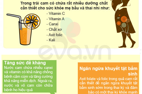 Mùa xuân, mẹ bầu đừng bỏ qua cam - 2