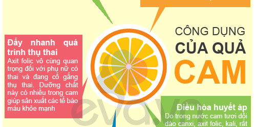 Mùa xuân, mẹ bầu đừng bỏ qua cam - 3
