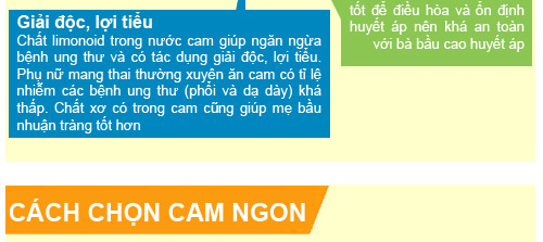 Mùa xuân, mẹ bầu đừng bỏ qua cam - 4