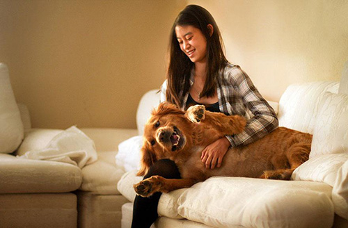 Bộ ảnh: Hoài niệm của Jessica Trinh về chú chó Chuppy - 2