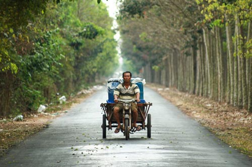 Đến Đông Nam bộ ngắm rừng cao su thay lá - 18