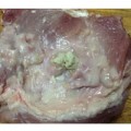 Tiêu dùng - Thịt heo bán ở Big C Gò Vấp không nhiễm sán gạo