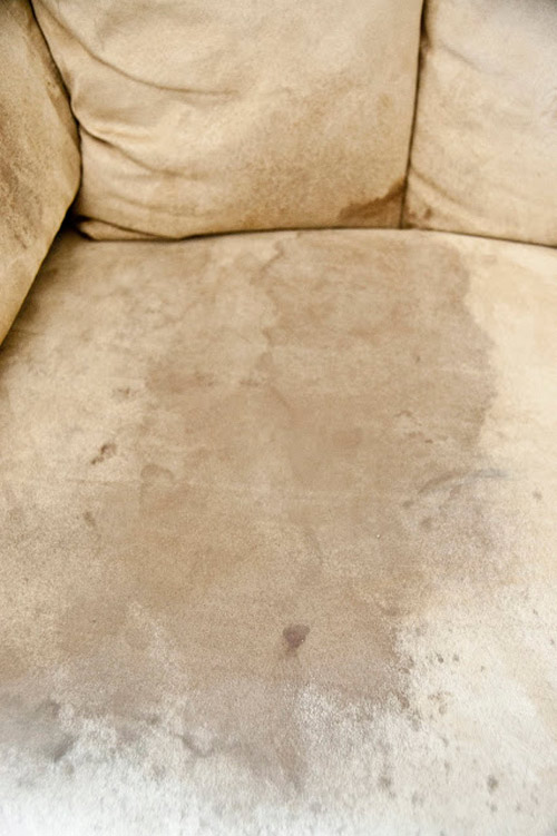 Giặt khô sofa da lộn: Hóa ra chẳng khó! - 5