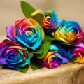 Nhà đẹp - Cách làm hoa hồng cầu vồng cực dễ