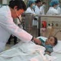 Tin tức - Liên tiếp các ca nguy kịch vì ngộ độc nấm