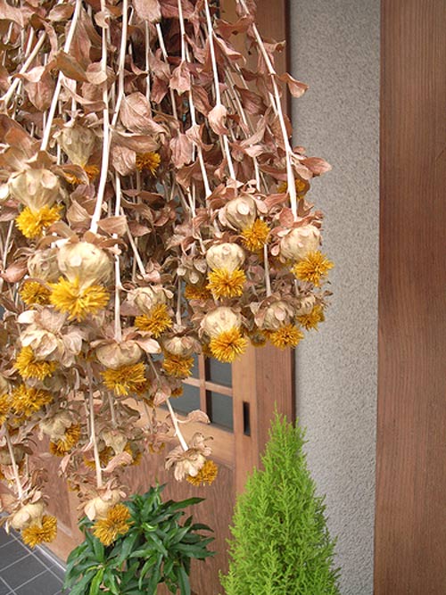Bày hoa khô trong nhà cực xấu? - 3