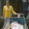 Tin tức - Vợ chồng buôn ve chai nhặt được hơn 5 triệu yen