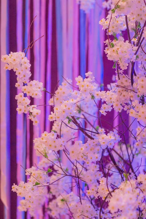 Không gian cưới ngọt ngào quot;như mơquot; của Lê Khánh - 19