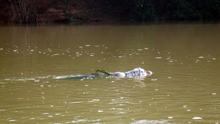 Mẹ ngất xỉu khi phát hiện xác con trong bao tải trôi sông - 1