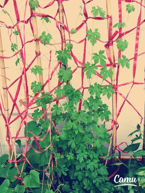 Kim Hiền viên mãn trong tổ ấm với chồng giỏi, con ngoan - 16