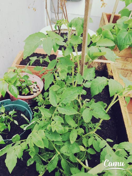 Kim Hiền viên mãn trong tổ ấm với chồng giỏi, con ngoan - 17