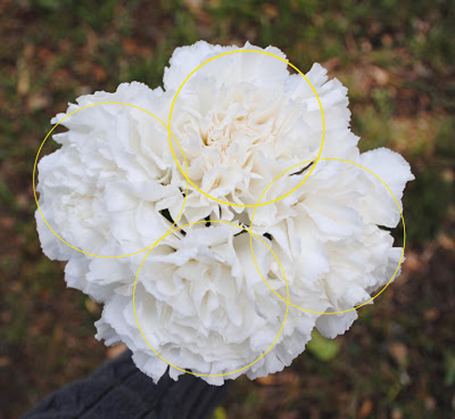 Mất vài phút cắm bó hoa Hello Kitty giá 4 triệu đồng - 3