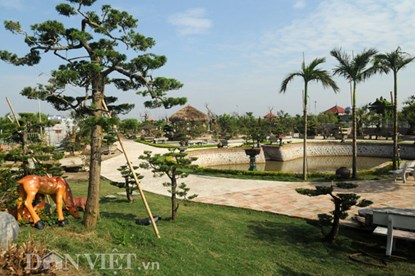 Mục kích vườn cây cảnh bạc tỷ ở Nam Định - 9