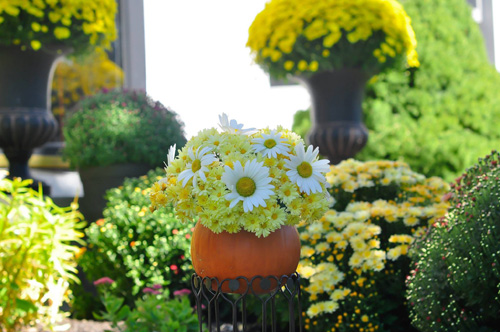 Mê mẩn vườn thiên đường của mẹ Việt trên đất Mỹ - 4