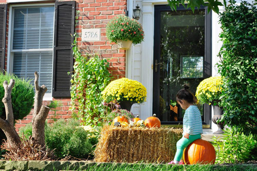 Mê mẩn vườn thiên đường của mẹ Việt trên đất Mỹ - 2