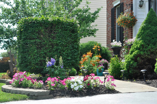 Mê mẩn vườn thiên đường của mẹ Việt trên đất Mỹ - 8