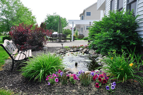 Mê mẩn vườn thiên đường của mẹ Việt trên đất Mỹ - 12